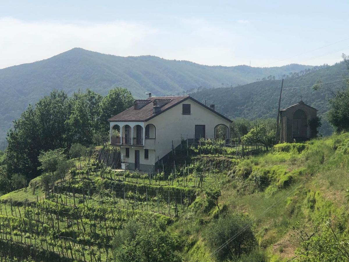 Villa Elena Mezzanego Extérieur photo
