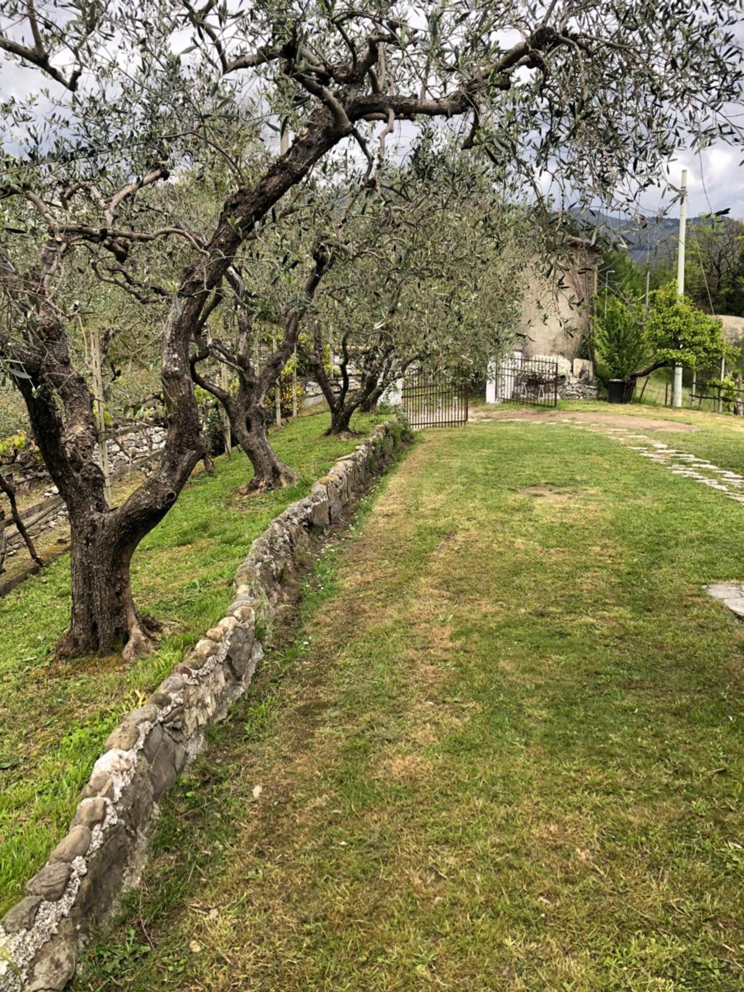 Villa Elena Mezzanego Extérieur photo